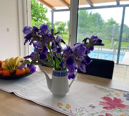 Sara Holiday home