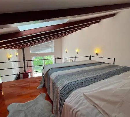 Sara Holiday home Cista Provo