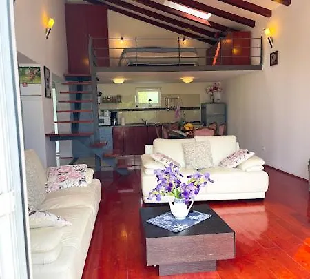 Sara Holiday home Cista Provo